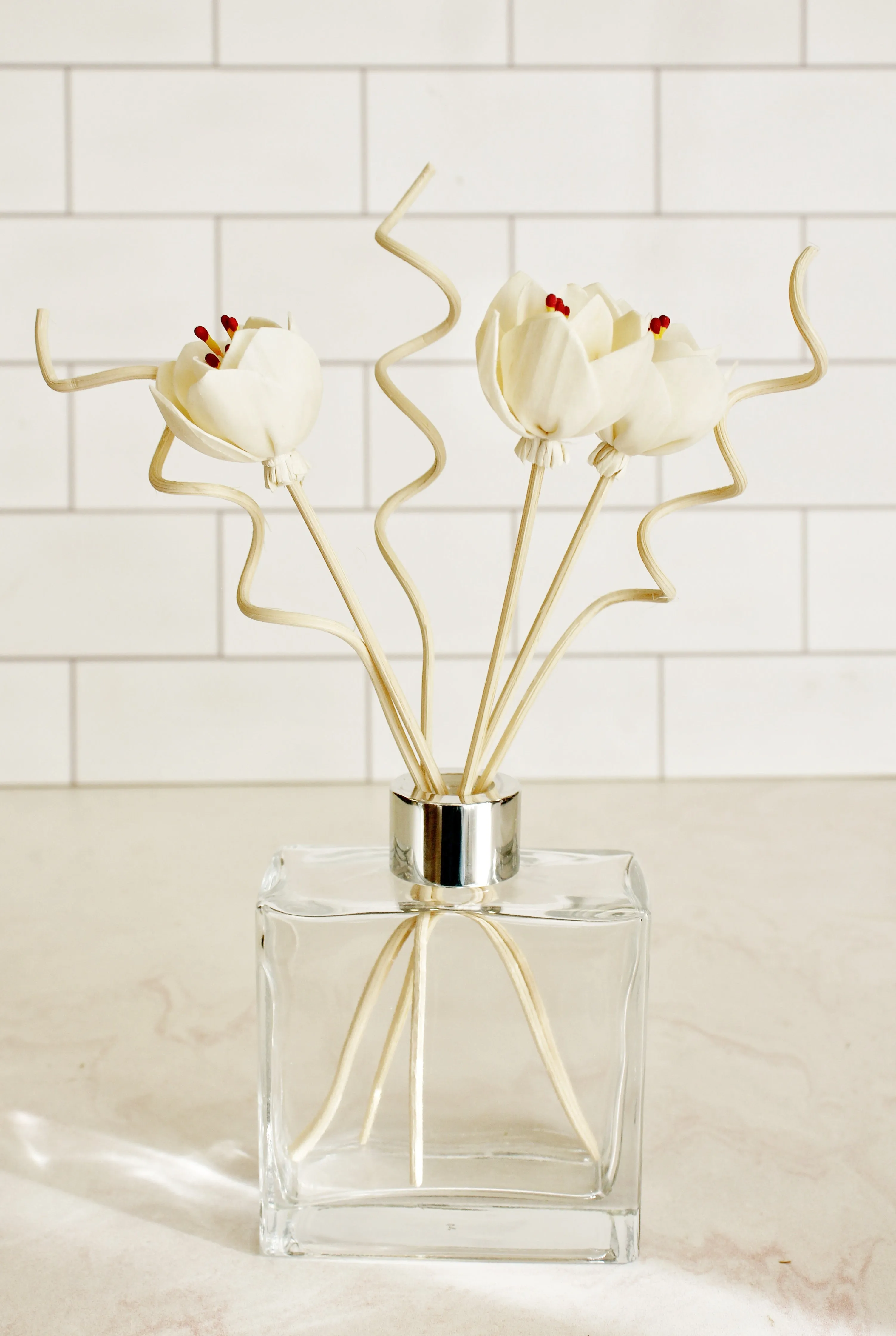 Lodi Harvest - Artisan Reed Diffuser
